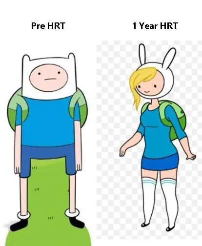 A picture of Finn the Human under the text "Pre HRT" beside Fionna the Human under the text "1 Year HRT".