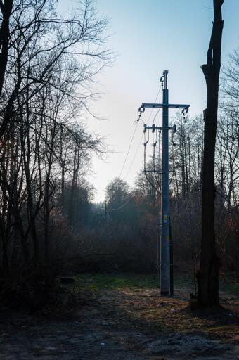 Concrete pole with a 15kV powerline coming from the underground onto a pole and aerially into the forest