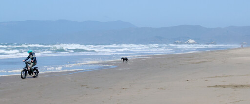 A panorama of the view from ocean beach, looking north. A cyclist is riding off to the left of the image, and near the center a small black dog follows behind, far off in the distance a person walking appears as a black speck. The seashore stretches diagonally out of sight, white rocks and distant cliffs stick out above the crests of waves, all tinted blue by haze.