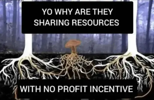 YO WHY ARE THEY SHARING RESOURCES... WITH NO PROFIT INCENTIVE