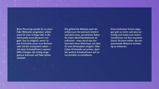 Beim Pharming werdet ihr zu einer Fake-Webseite umgeleitet, selbst wenn ihr eine richtige URL in die Adresszeile eures Browser eingebt. Das ist möglich, wenn Cyber-Kriminelle zuvor eure Rechner oder Geräte manipuliert haben - mit einer Schaftsoftware namens DNS-Changer, die richtig eingegebene Adressen auf Fake-Seiten umleitet.

Die gefälschte Website sieht der echten zum Verwechseln ähnlich und dient dazu, persönliche Daten für einen Identitätsdiebstahl abzufischen - etwa durch das Vortäuschen eines Webshops, bei dem ihr eure Kontodaten eingebt. Oder Cyberkriminelle versuchen, darüber weitere Schadsoftware auf euren Geräten zu installieren.

Einen einfachen Schutz dagegen gibt es nicht, seid also vorsichtig und haltet eure Antivirensoftware auf dem neuesten Stand. Sie kann helfen, die entsprechende Malware rechtzeitig zu erkennen.