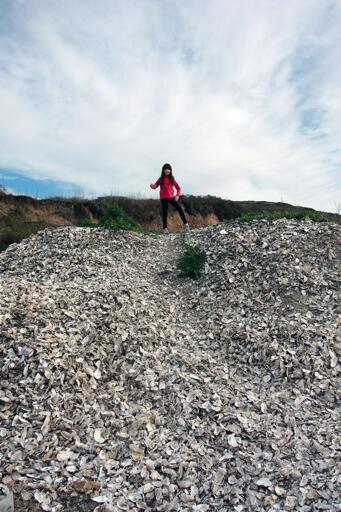 A young kid in a bright shirt stand triumphantly on top of a gigantic "hill" made of oyster shells.