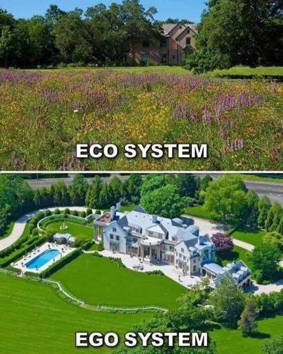 A meme with two pictures. The top picture is a grassland with wildflowers and the caption "ecosystem".  The bottom is a massive mansion with a huge, manicured lawn and the caption "ego system".